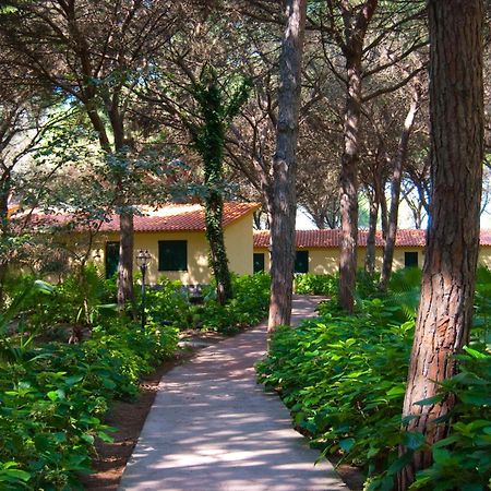 Horse Country Resort Congress & Spa - Hotel Ribot アルボレーア エクステリア 写真