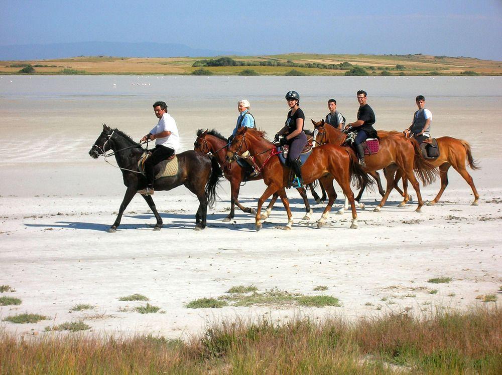 Horse Country Resort Congress & Spa - Hotel Ribot アルボレーア エクステリア 写真