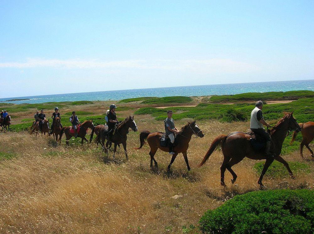 Horse Country Resort Congress & Spa - Hotel Ribot アルボレーア エクステリア 写真