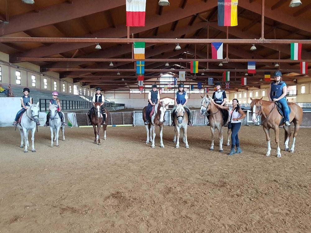 Horse Country Resort Congress & Spa - Hotel Ribot アルボレーア エクステリア 写真