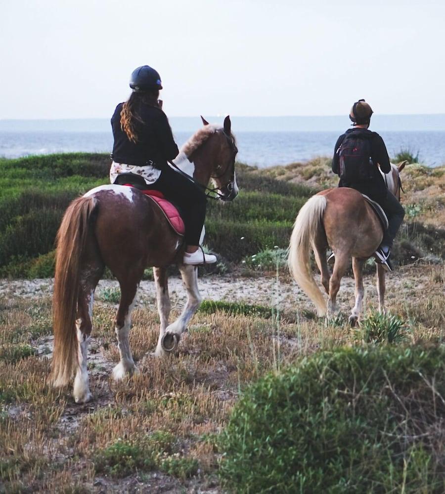 Horse Country Resort Congress & Spa - Hotel Ribot アルボレーア エクステリア 写真