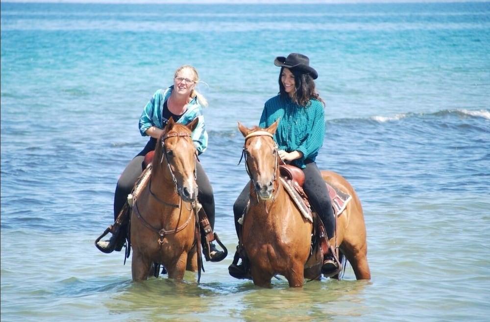 Horse Country Resort Congress & Spa - Hotel Ribot アルボレーア エクステリア 写真