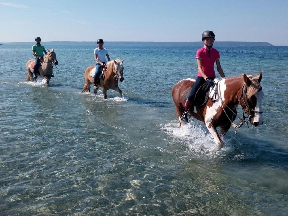 Horse Country Resort Congress & Spa - Hotel Ribot アルボレーア エクステリア 写真