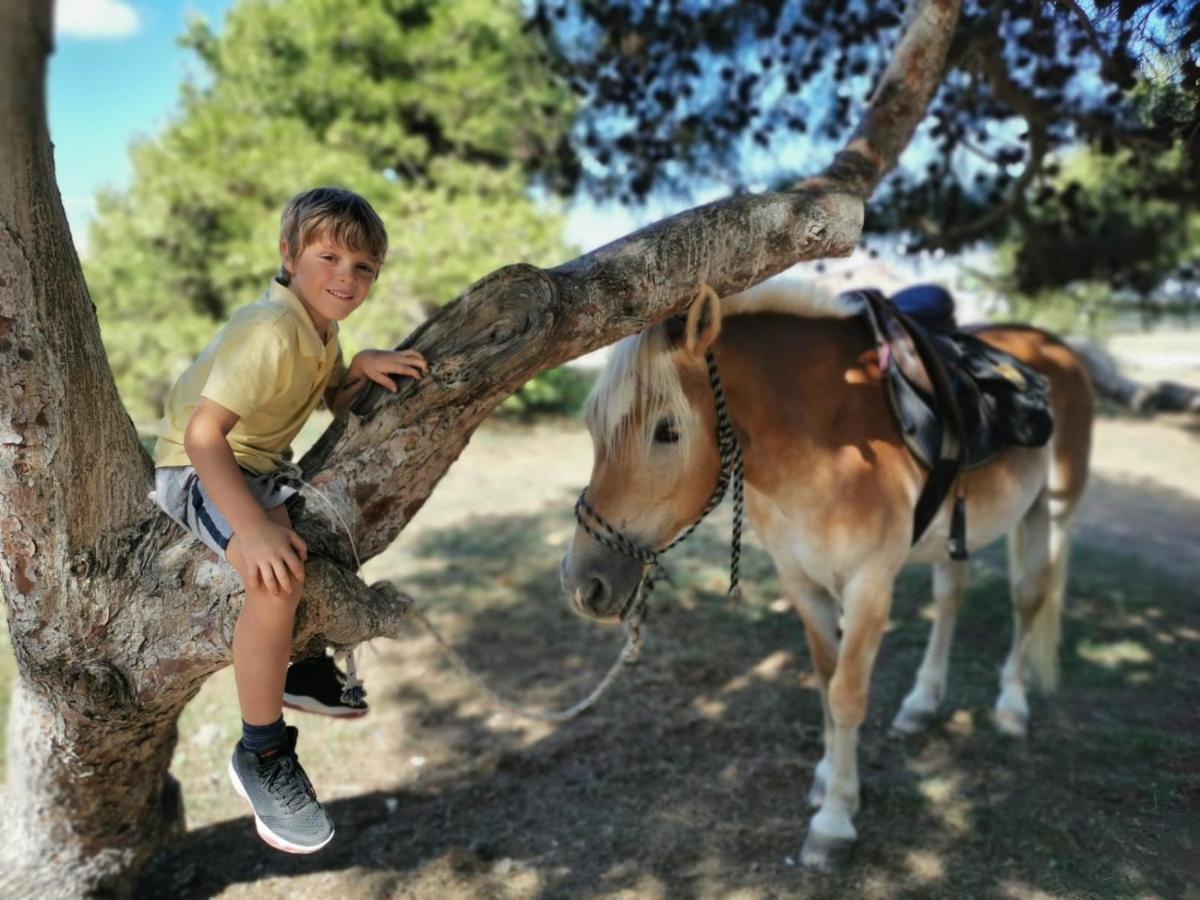 Horse Country Resort Congress & Spa - Hotel Ribot アルボレーア エクステリア 写真