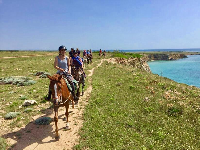 Horse Country Resort Congress & Spa - Hotel Ribot アルボレーア エクステリア 写真