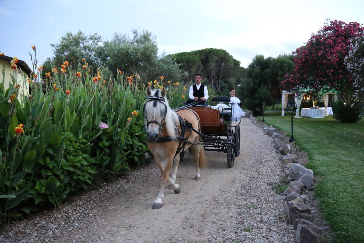 Horse Country Resort Congress & Spa - Hotel Ribot アルボレーア エクステリア 写真